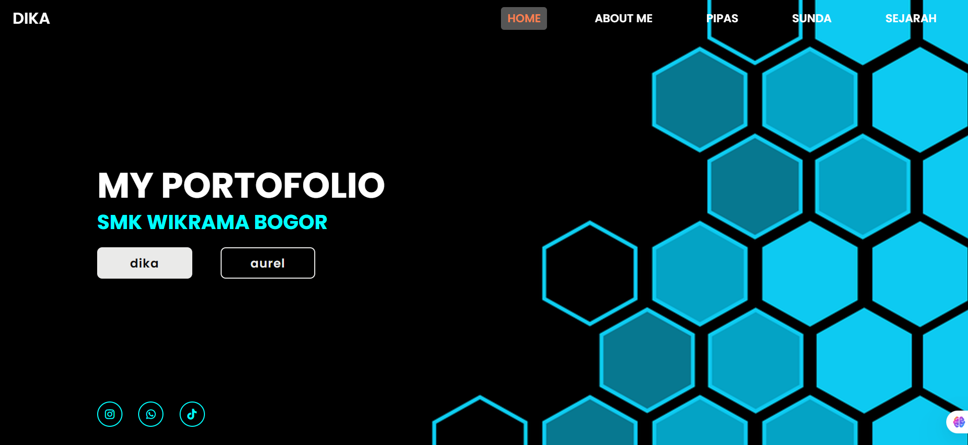 portofolio saya